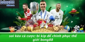 Soi Kèo Cá Cược